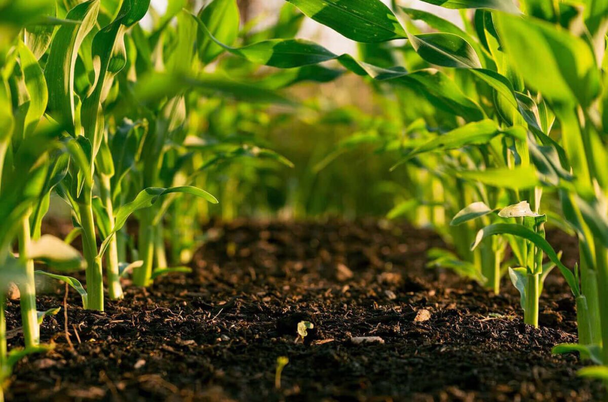 blog-bg-01 blog-bg-01